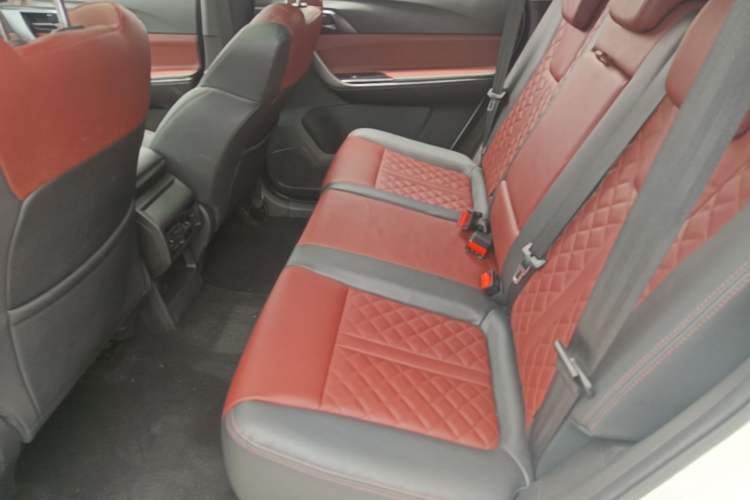 Used FORTHING T5 2020 1.5T Automatic Luxury Model China VI Standard Left Rear Seat