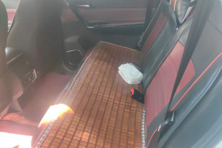 Used FORTHING T5 2020 1.5T Automatic Luxury Model China VI Standard Left Rear Seat
