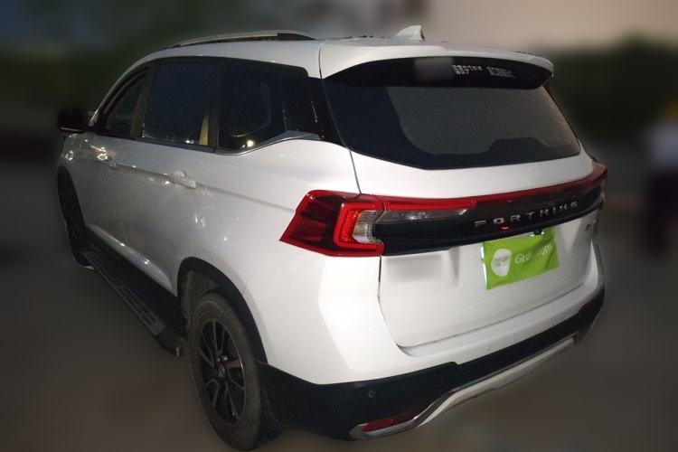 Used FORTHING T5 2020 1.6L Manual Comfort Model China VI Standard Rear Left 45 Deg