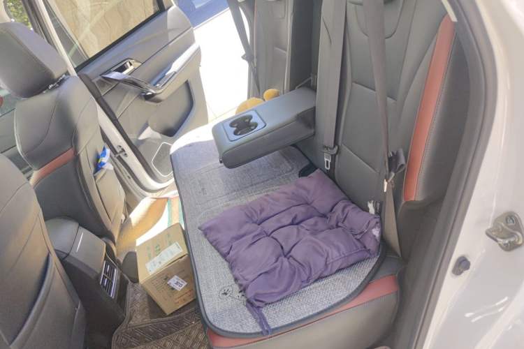 Used FORTHING T5 2021 1.5T Automatic Luxury Version Left Rear Seat