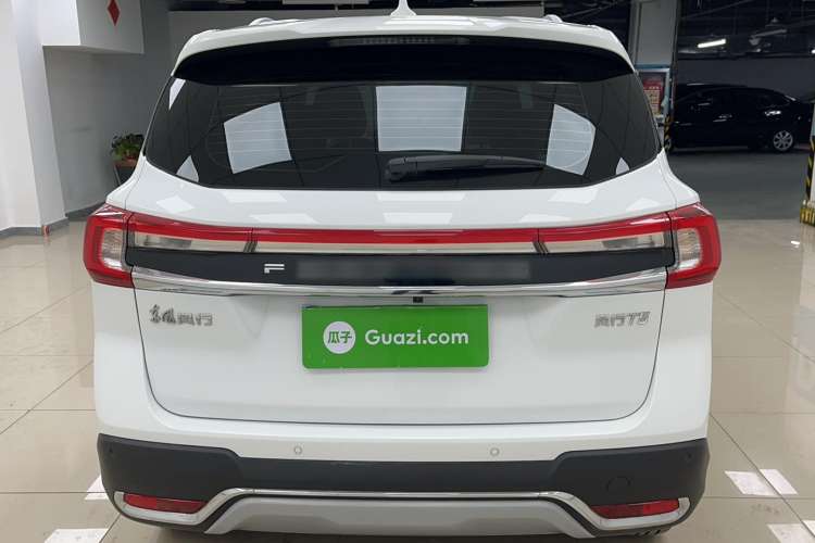 Used FORTHING T5 2021 1.5T Automatic Comfort Version Rear