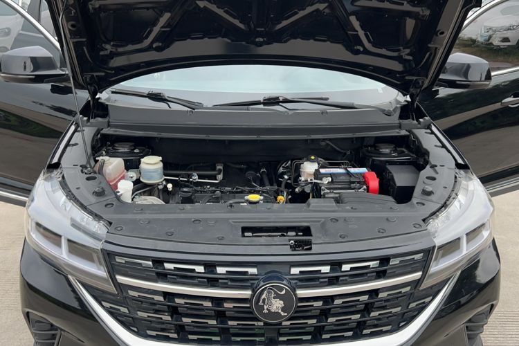 Used FORTHING T5 2022 Grand Edition 1.6L Manual Dream-Chasing Five-Seat Model Engine Bay