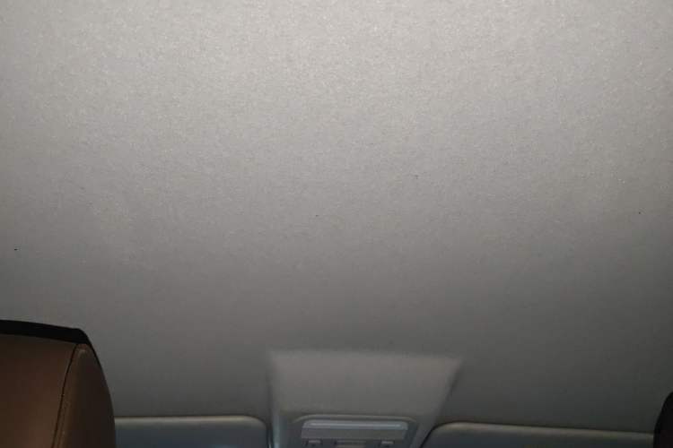 Used FORTHING T5 2022 Grand Edition 1.6L Manual Dream-Chasing Five-Seat Model Headliner