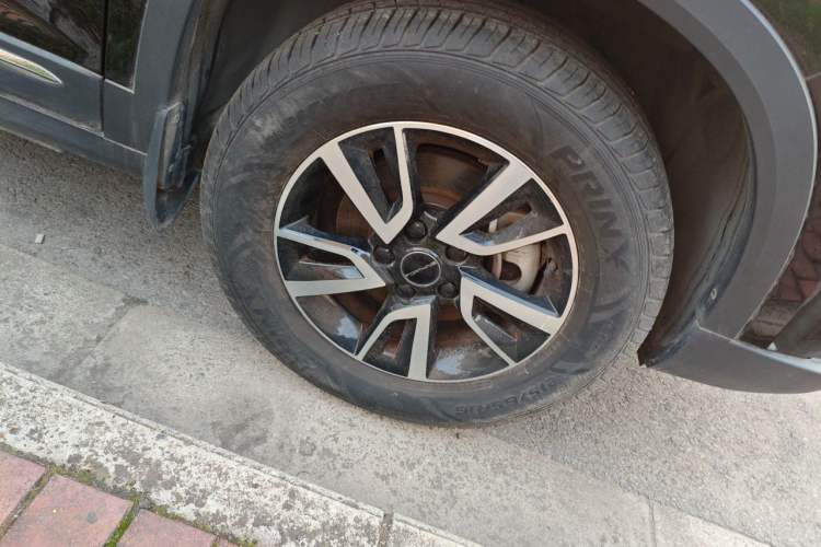 Used FORTHING T5 2022 Grand Edition 1.6L Manual Dream-Chasing Five-Seat Model Right Front Wheel Hub