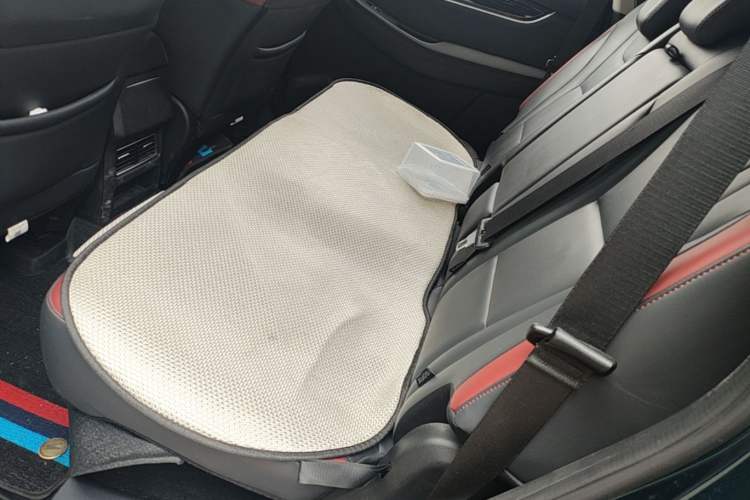 Used FORTHING T5 2022 Grand Edition 1.5T Automatic - FarDream Version 7 Seats Left Rear Seat