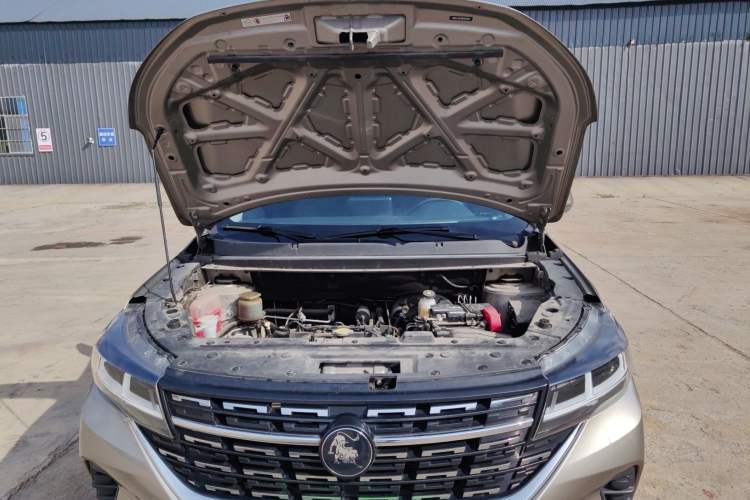 Used FORTHING T5 2022 Grand Edition 1.6L Manual Dream-Chasing Five-Seat Model Engine Bay