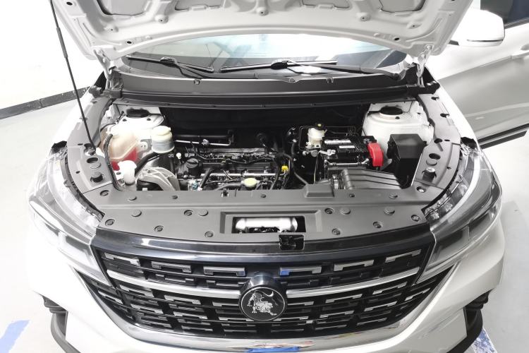 Used FORTHING T5 2022 Grand Edition 1.6L Manual Dream-Chasing Five-Seat Model Engine Bay