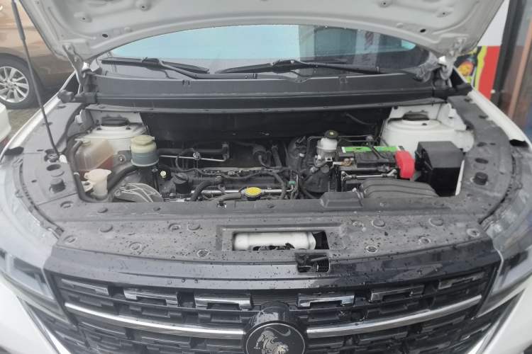 Used FORTHING T5 2022 Grand Edition 1.6L Manual Dream-Chasing Five-Seat Model Engine Bay
