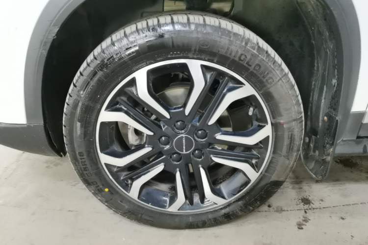 Used FORTHING T5 2022 Shengshi Version 1.5T Automatic - Yuanmeng Edition 5 Seats Exterior 4