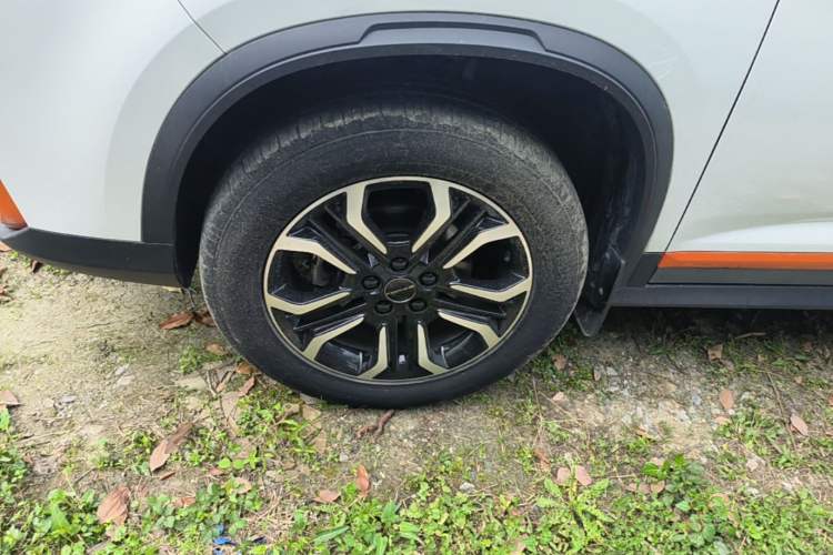 Used FORTHING T5 2022 Mach Edition 1.5T DCT High-Performance Five-Seater Left Front Wheel Hub