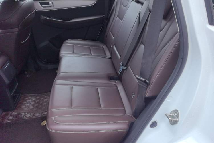 Used FORTHING T5 2022 Grand Edition 1.6L Manual Dream-Chasing Five-Seat Model Left Rear Seat