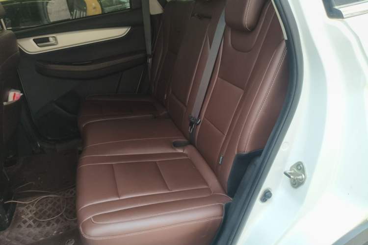 Used FORTHING T5 2022 Grand Edition 1.6L Manual Dream-Chasing Five-Seat Model Left Rear Seat