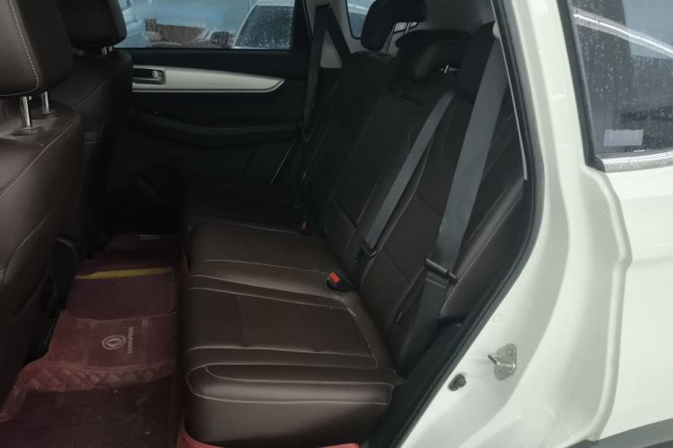 Used FORTHING T5 2022 Grand Edition 1.6L Manual Dream-Chasing Five-Seat Model Left Rear Seat