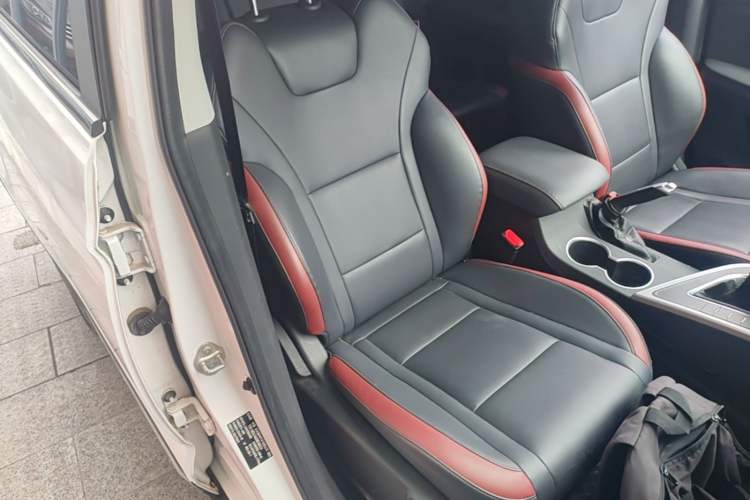 Used FORTHING T5 2022 Grand Edition 1.6L Manual Dream-Chasing Five-Seat Model Right Front Seat