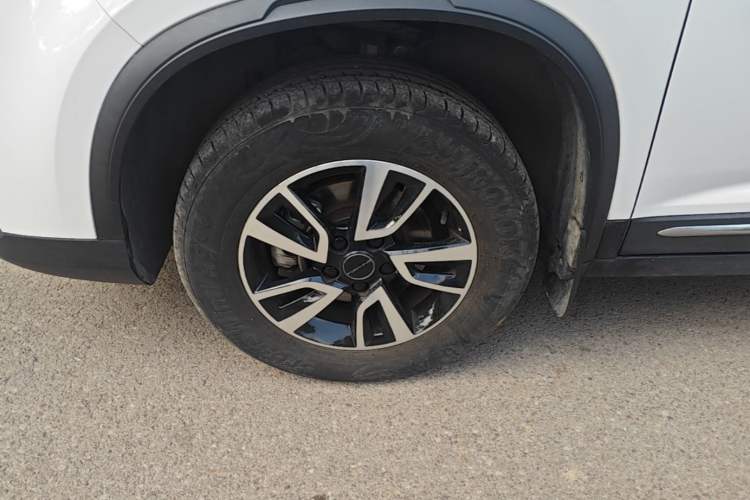 Used FORTHING T5 2024 Grand Edition 1.6L Manual Dream-Chasing Version 5 Seats Exterior 4