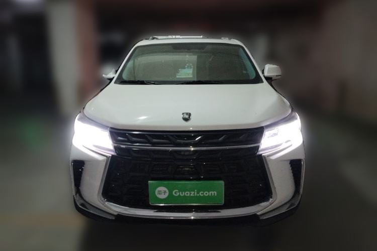 Used FORTHING T5 2024 Grand Edition 1.6L CVT "Good Things Peanut" Version 5-Seater Front