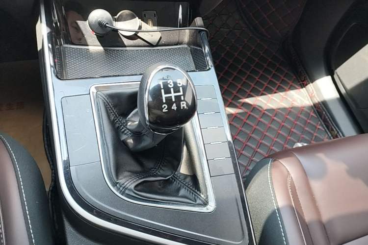 Used FORTHING T5 2024 Grand Edition 1.6L Manual Dream-Chasing Version 5 Seats Gear Lever