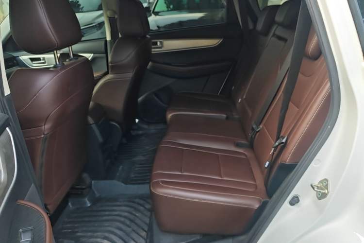 Used FORTHING T5 2024 Grand Edition 1.6L Manual Dream-Chasing Version 5 Seats Left Rear Seat
