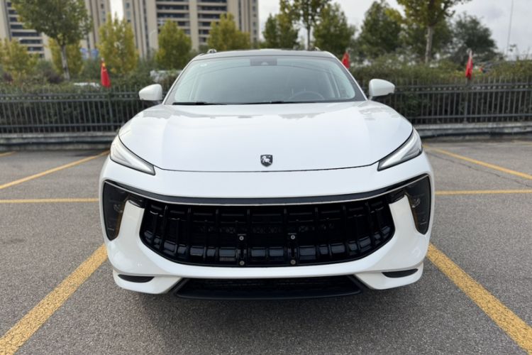 Used FORTHING T5 EVO 2021 1.5TD DCT Diamond Edition Exterior 1