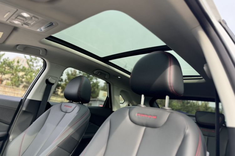 Used FORTHING T5 EVO 2021 1.5TD DCT Diamond Edition Headliner