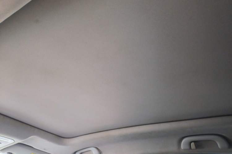 Used FORTHING T5 EVO 2021 1.5TD DCT Diamond Edition Headliner