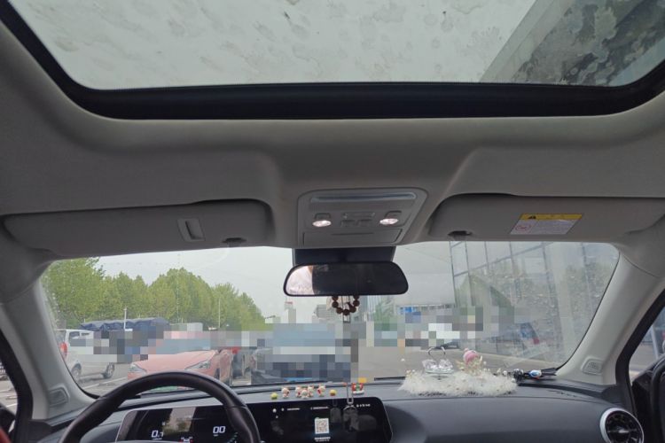 Used FORTHING T5 EVO 2021 1.5TD DCT Diamond Edition Headliner