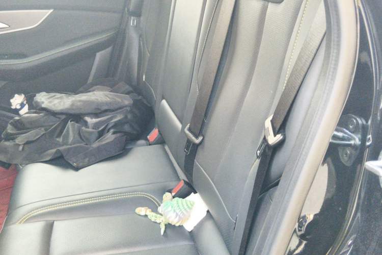 Used FORTHING T5 EVO 2021 1.5TD DCT Starry Edition Left Rear Seat