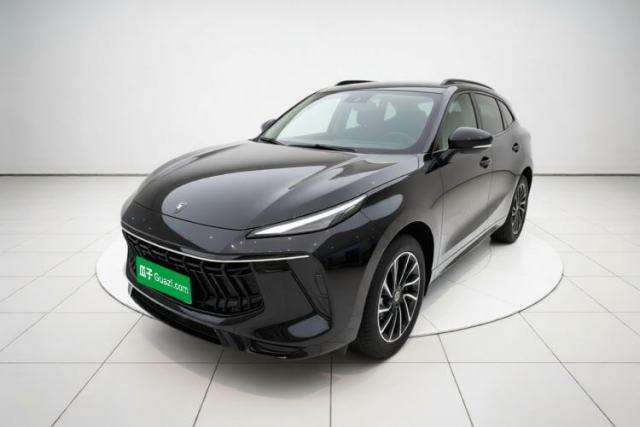 FORTHING T5 EVO 2021 1.5TD DCT Diamond Edition usado