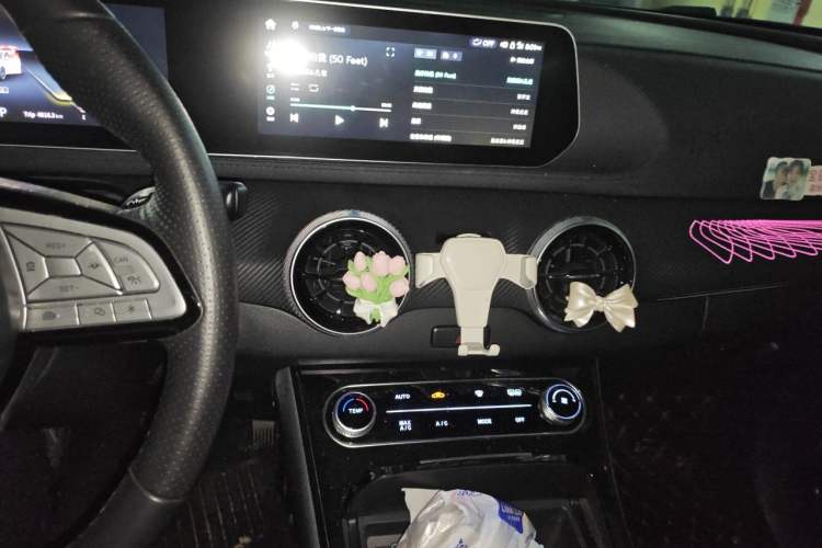 Used FORTHING T5 EVO 2021 1.5TD DCT Starry Edition Audio And AC Panel