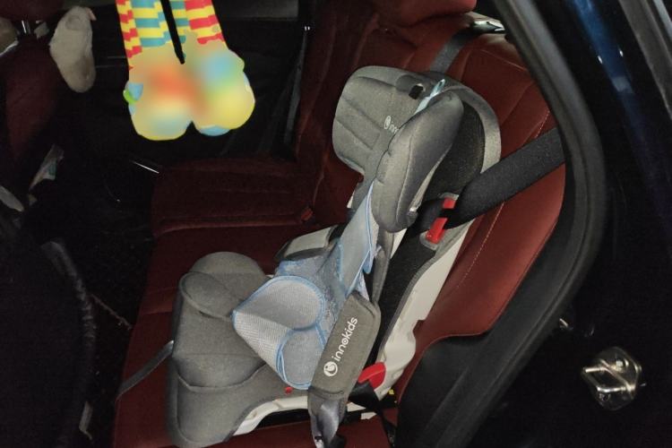Used FORTHING T5 EVO 2021 1.5TD DCT Starry Edition Left Rear Seat