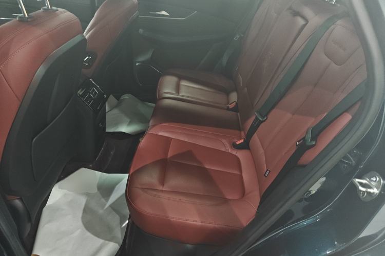Used FORTHING T5 EVO 2021 1.5TD DCT Starry Edition Left Rear Seat