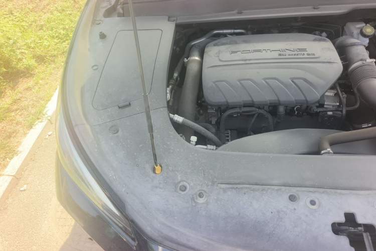 Used FORTHING T5 EVO 2021 1.5TD DCT Starry Edition Engine Bay Right
