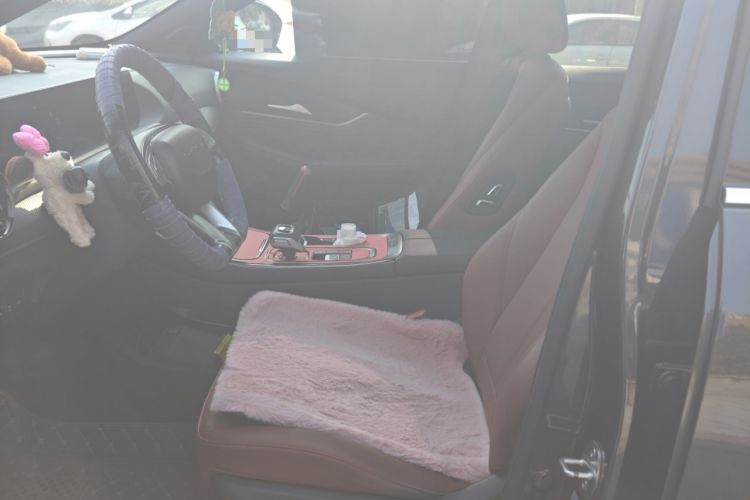 Used FORTHING T5 EVO 2021 1.5TD DCT Starry Edition Heatwave Left Front Seat