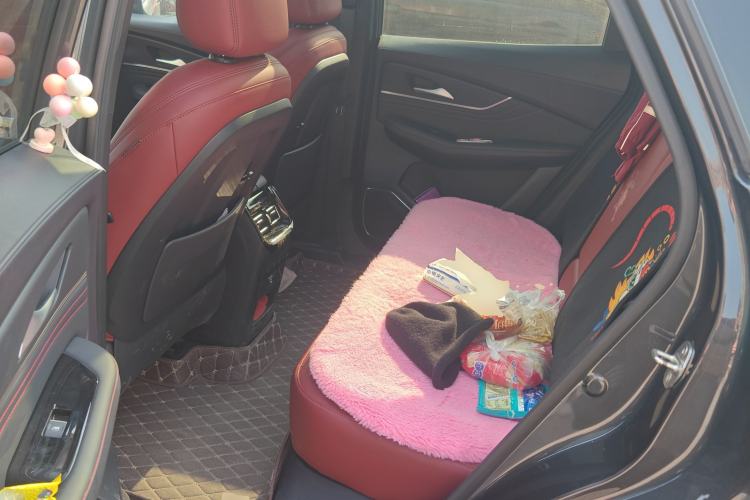 Used FORTHING T5 EVO 2021 1.5TD DCT Starry Edition Heatwave Left Rear Seat
