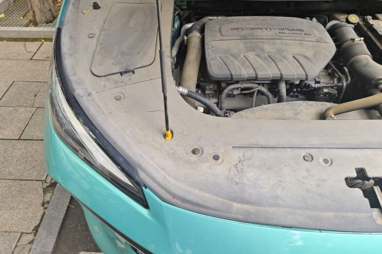 Used FORTHING T5 EVO 2021 1.5TD DCT Starry Edition Engine Bay Right