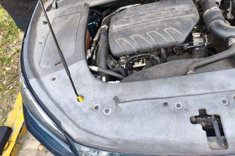 Used FORTHING T5 EVO 2021 1.5TD DCT Starry Edition Engine Bay Right