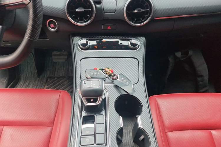 Used FORTHING T5 EVO 2021 1.5TD DCT Starry Edition Gear Lever