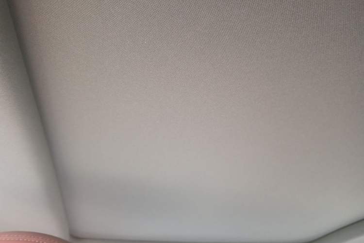 Used FORTHING T5 EVO 2021 1.5TD DCT Starry Edition Headliner