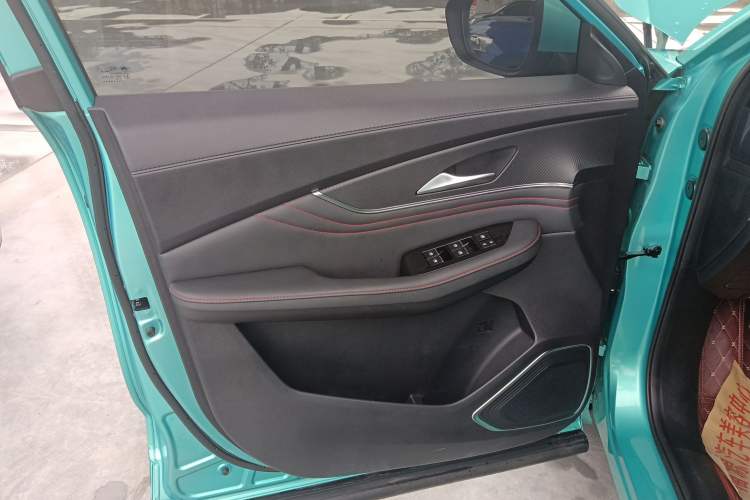 Used FORTHING T5 EVO 2021 1.5TD DCT Starry Edition Left Front Door Interior