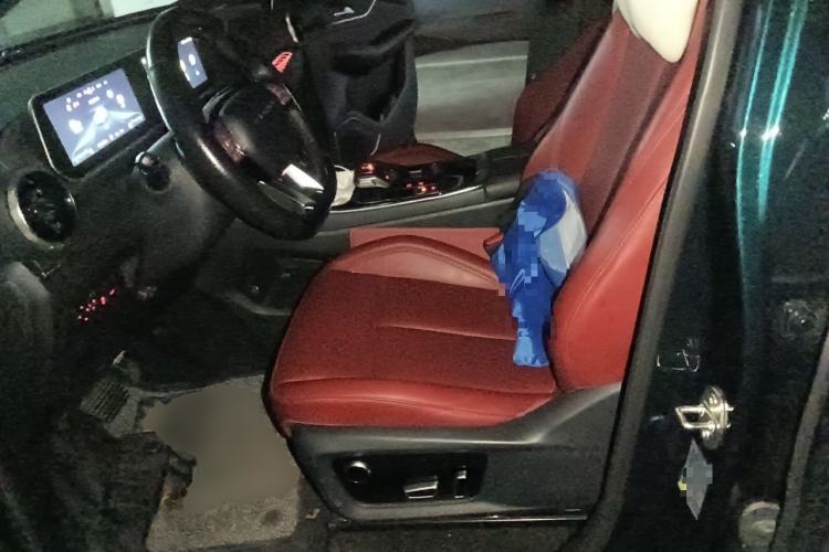 Used FORTHING T5 EVO 2021 1.5TD DCT Starry Edition Left Front Seat