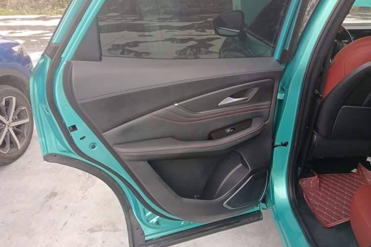 Used FORTHING T5 EVO 2021 1.5TD DCT Starry Edition Left Rear Door Interior