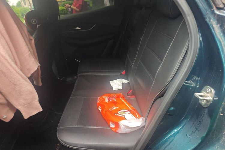 Used FORTHING T5 EVO 2021 1.5TD DCT Starry Edition Left Rear Seat