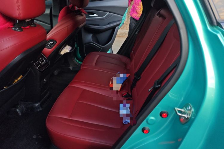 Used FORTHING T5 EVO 2021 1.5TD DCT Starry Edition Left Rear Seat