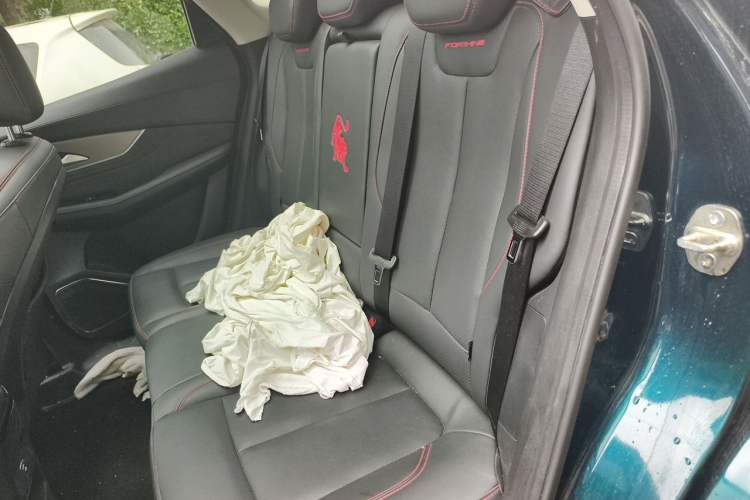 Used FORTHING T5 EVO 2021 1.5TD DCT Platinum Edition Heatwave Left Rear Seat