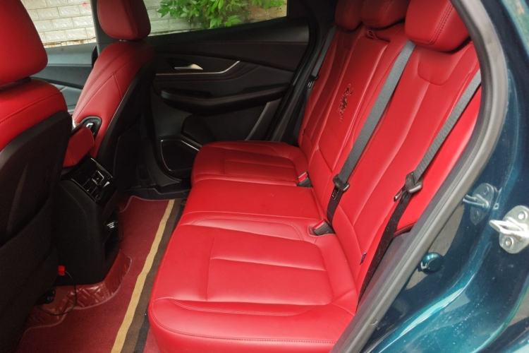 Used FORTHING T5 EVO 2021 1.5TD DCT Starry Edition Left Rear Seat