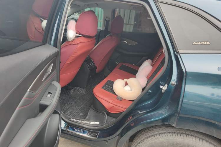 Used FORTHING T5 EVO 2021 1.5TD DCT Diamond Edition Left Rear Seat