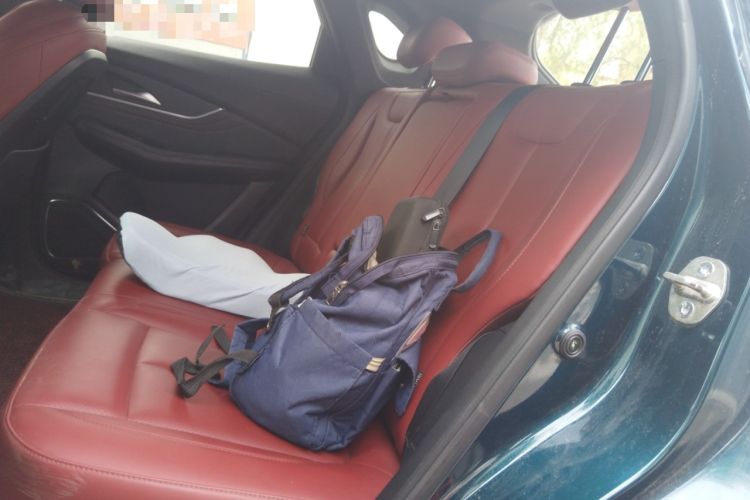 Used FORTHING T5 EVO 2021 1.5TD DCT Starry Edition Left Rear Seat