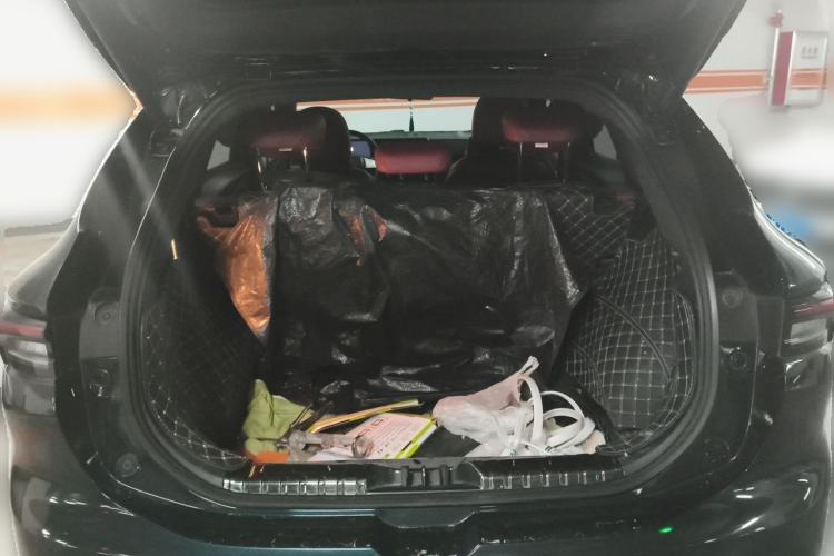 Used FORTHING T5 EVO 2021 1.5TD DCT Starry Edition Trunk
