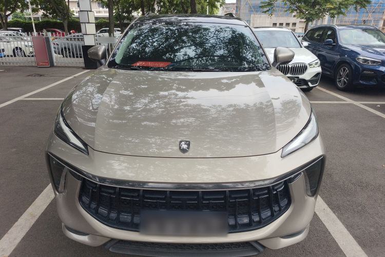 Used FORTHING T5 EVO 2021 1.5TD DCT Diamond Edition Exterior 1