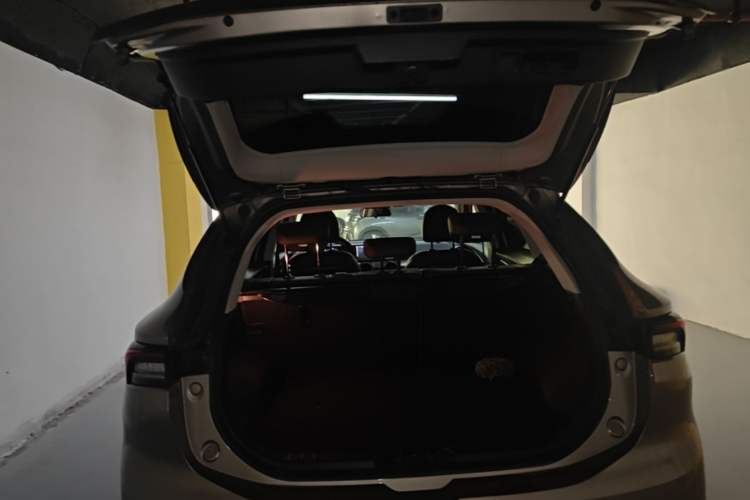 Used FORTHING T5 EVO 2021 1.5TD DCT Diamond Edition Trunk